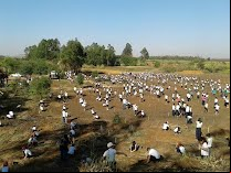 Plantio de mais de 2.000 mudas de árvores marca a comemoração do Dia da Árvore pelo Rotary Club