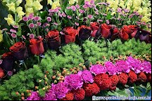 Expoflora 2017: imagens da exposição de arranjos florais 